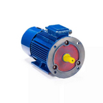 Электродвигатель  5АИ 100 L6 ET 2.2/1000 IM 2081