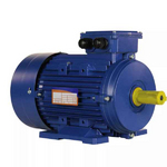 Электродвигатель 5АИ 100 L4 ED 4/1500 IM 1081