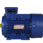 Электродвигатель 5АИ 100 L4 ED 4/1500 IM 1081